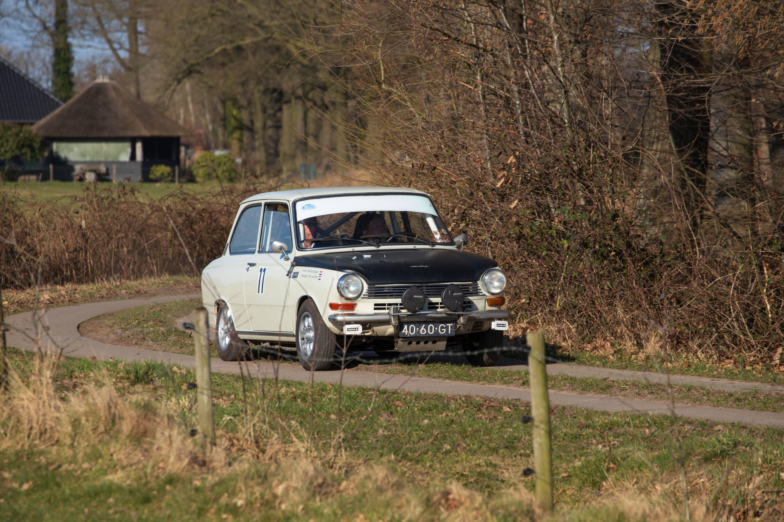 ROZ - Daf door het bos